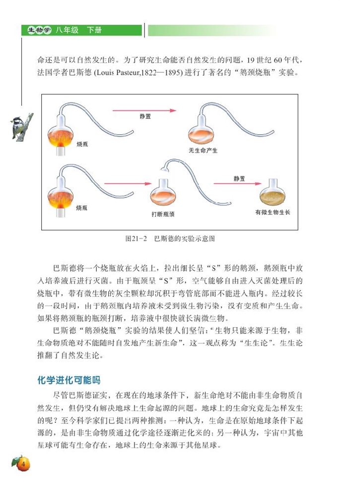 北师大版初中生物初二生物下册生命的发生和发展第3页