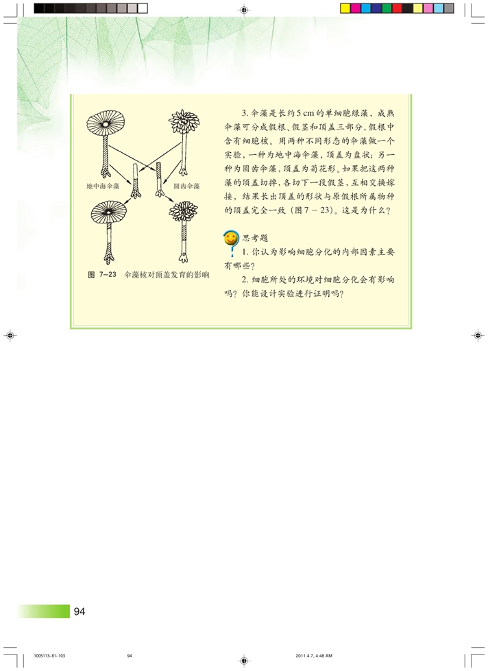 沪科版高中高二生命科学生命科学（第二册）细胞分化和植物细胞的全能性第4页