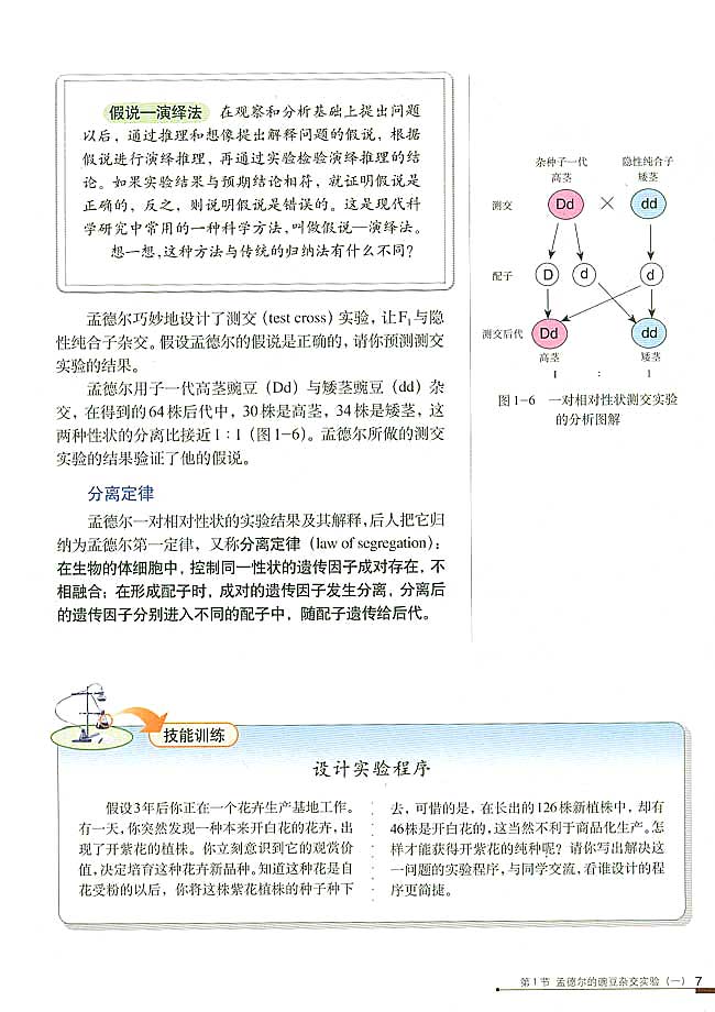 人教版高中高二生物必修2孟德尔的豌豆杂交实验（一）第5页