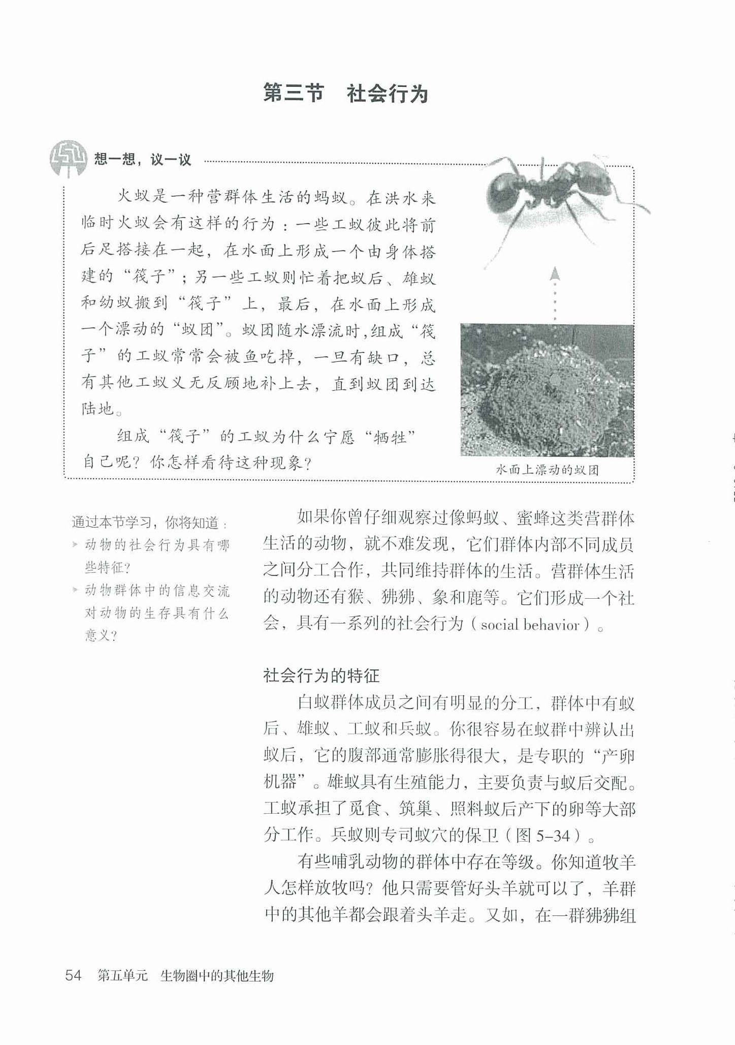 2013部编版八年级生物上册第三节 社会行为第0页