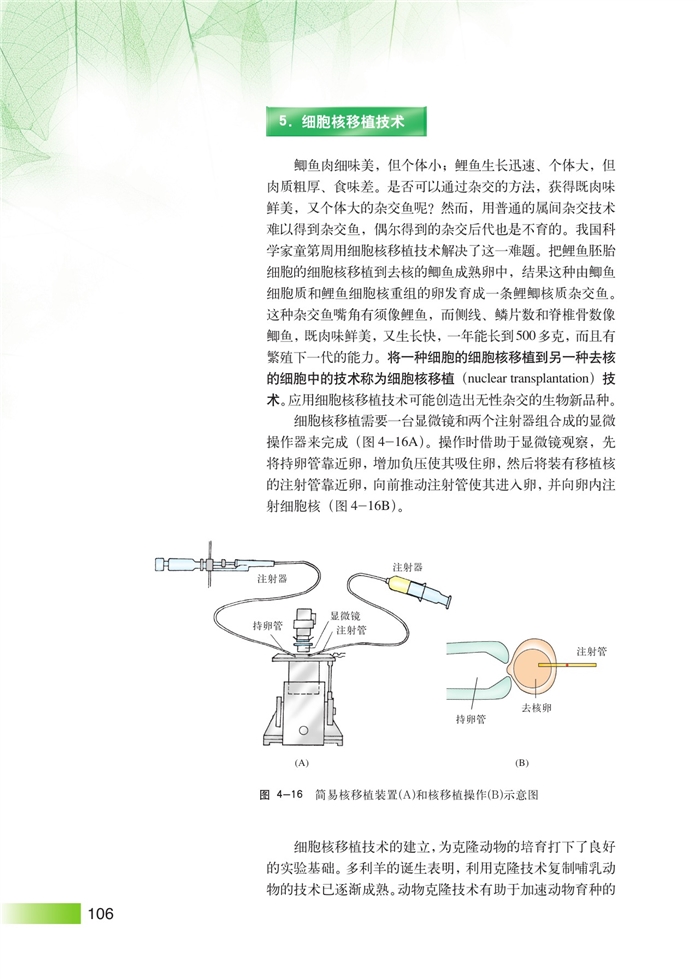 沪科版高中高三生命科学生命科学(拓展)细胞工程第11页