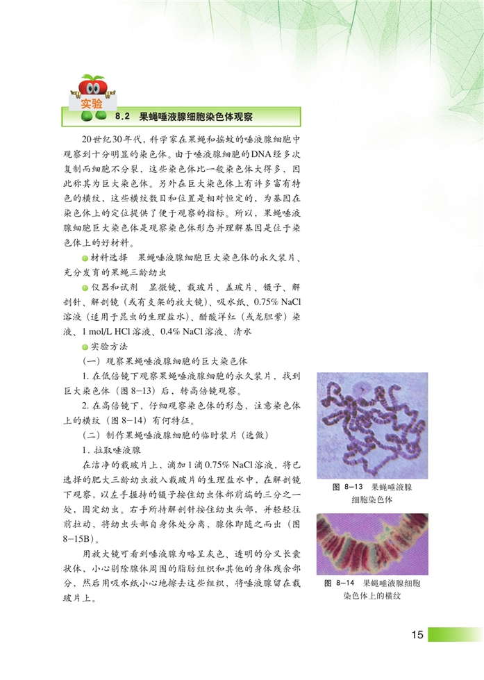 沪科版高中高三生命科学生命科学（第三册）遗传规律第13页