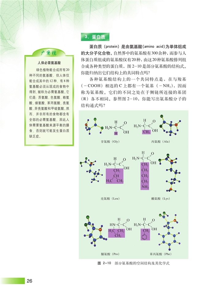 沪科版高中高一生命科学生命科学（第一册）生物体中的有机化合物第6页