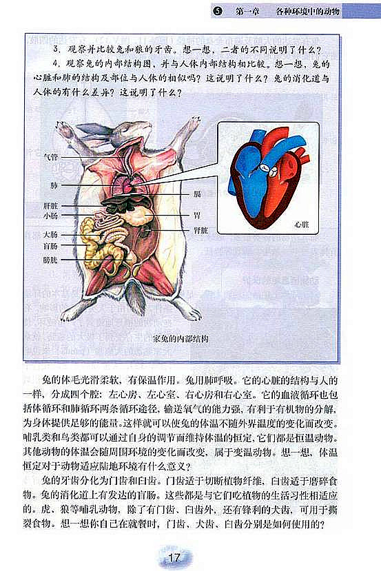 人教版初中初二生物上册陆地生活的动物第5页