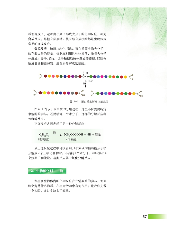 沪科版高中高一生命科学生命科学（第一册）生物体内的化学反应第1页