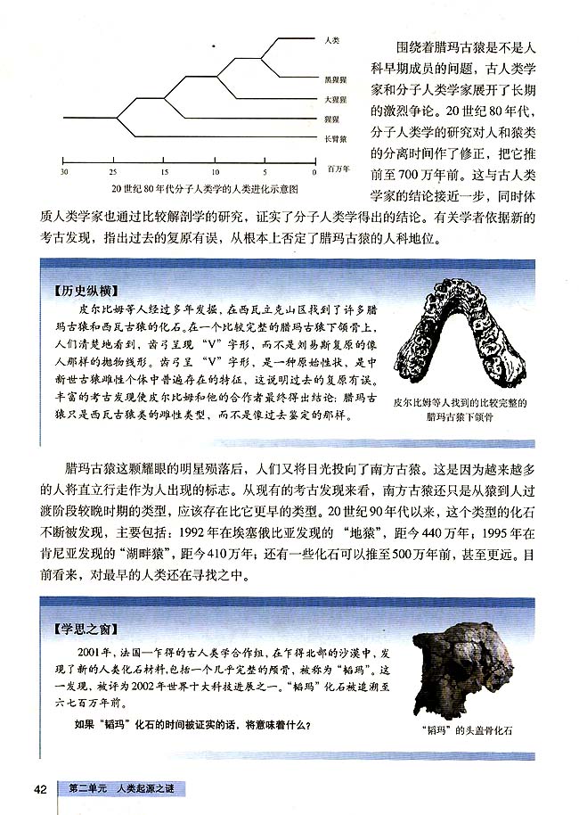 人教版高三历史选修五第3课 寻找人类的祖先第1页