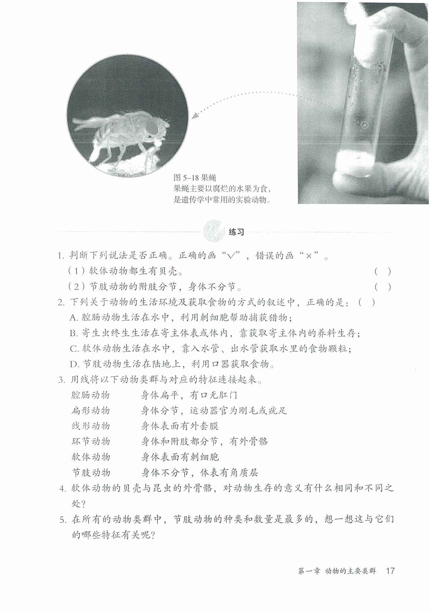 2013部编版八年级生物上册节肢动物第3页