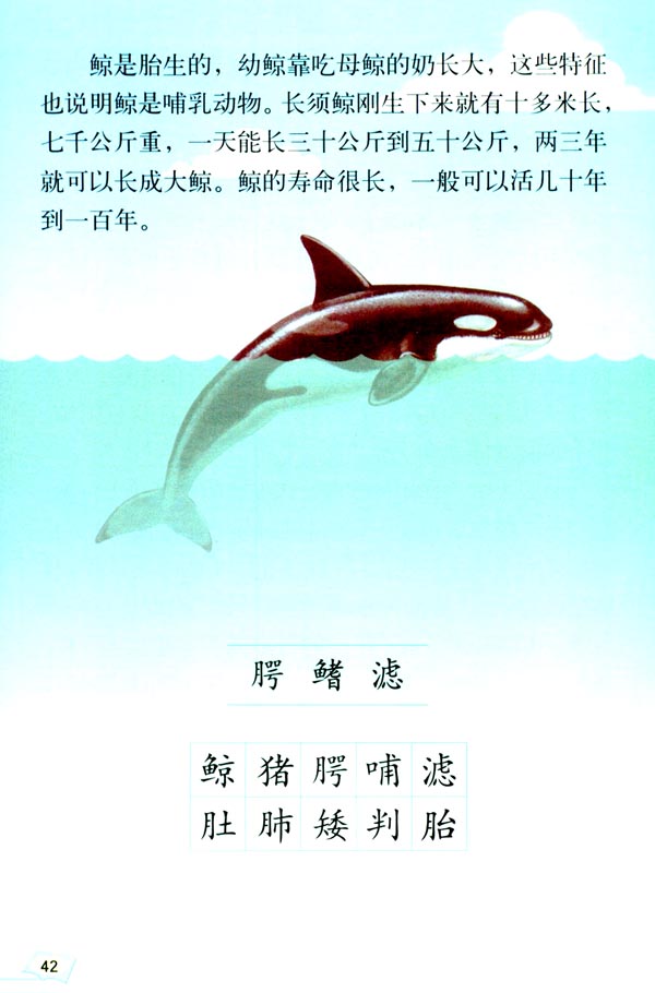 人教版五年级语文上册9.鲸第2页