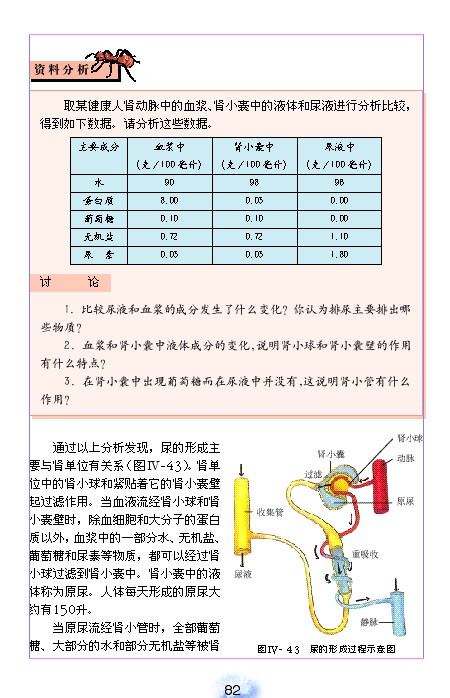 人教版初中初一生物下册尿的形成和排出第3页