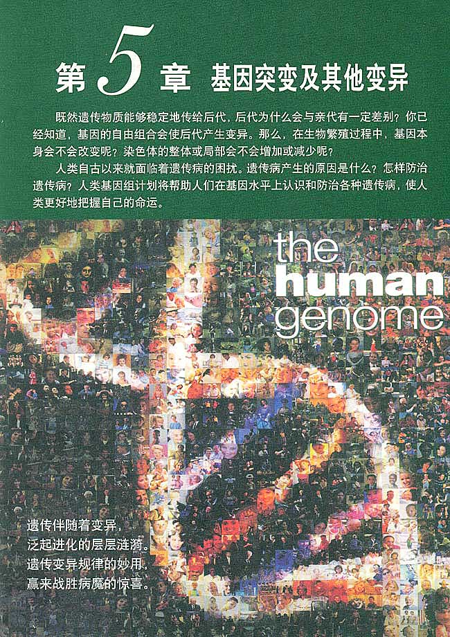 人教版高中高二生物必修2基因突变及其他变异第0页
