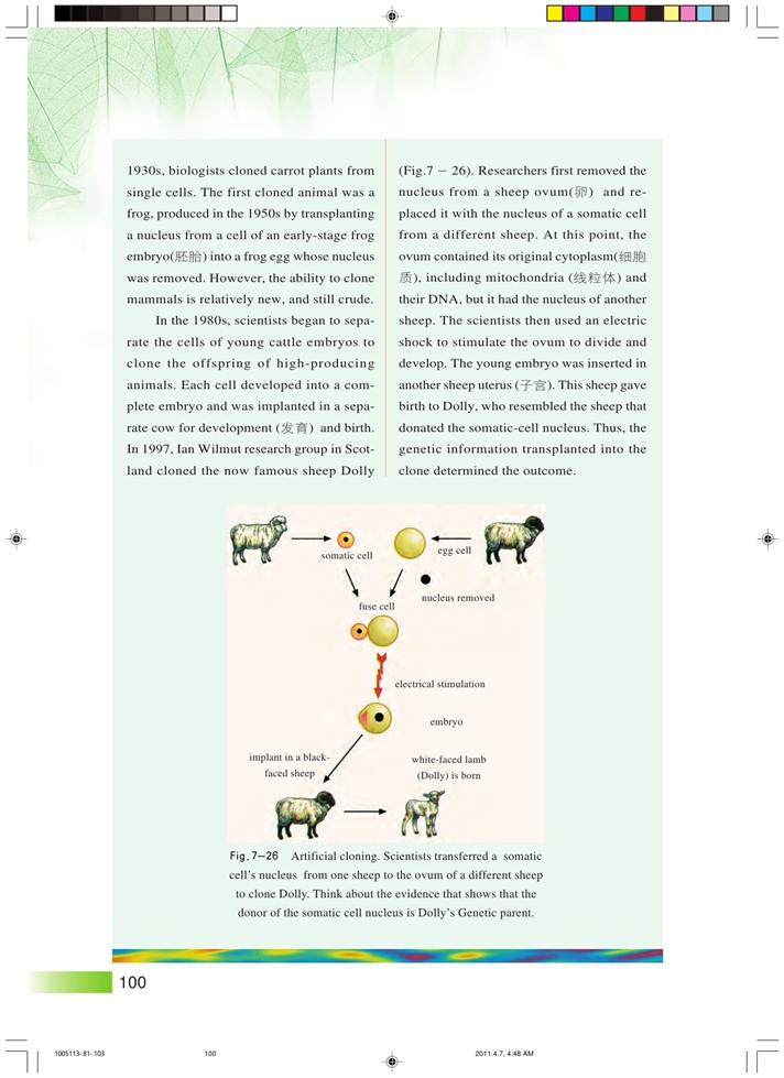 沪科版高中高二生命科学生命科学（第二册）克隆技术第5页