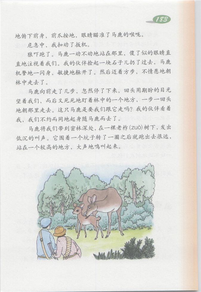 沪教版小学四年级语文上册马鹿有情第1页