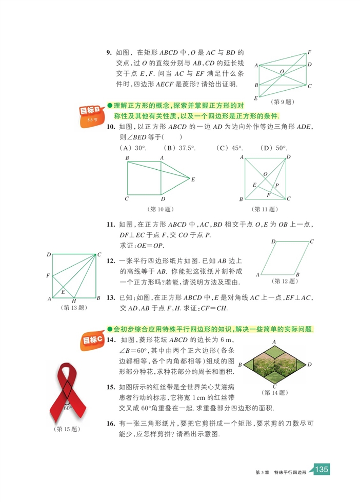 浙教版初中数学初二数学下册正方形第10页