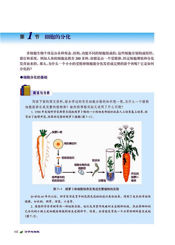 北师大版高中高一生物必修1细胞的分化第0页