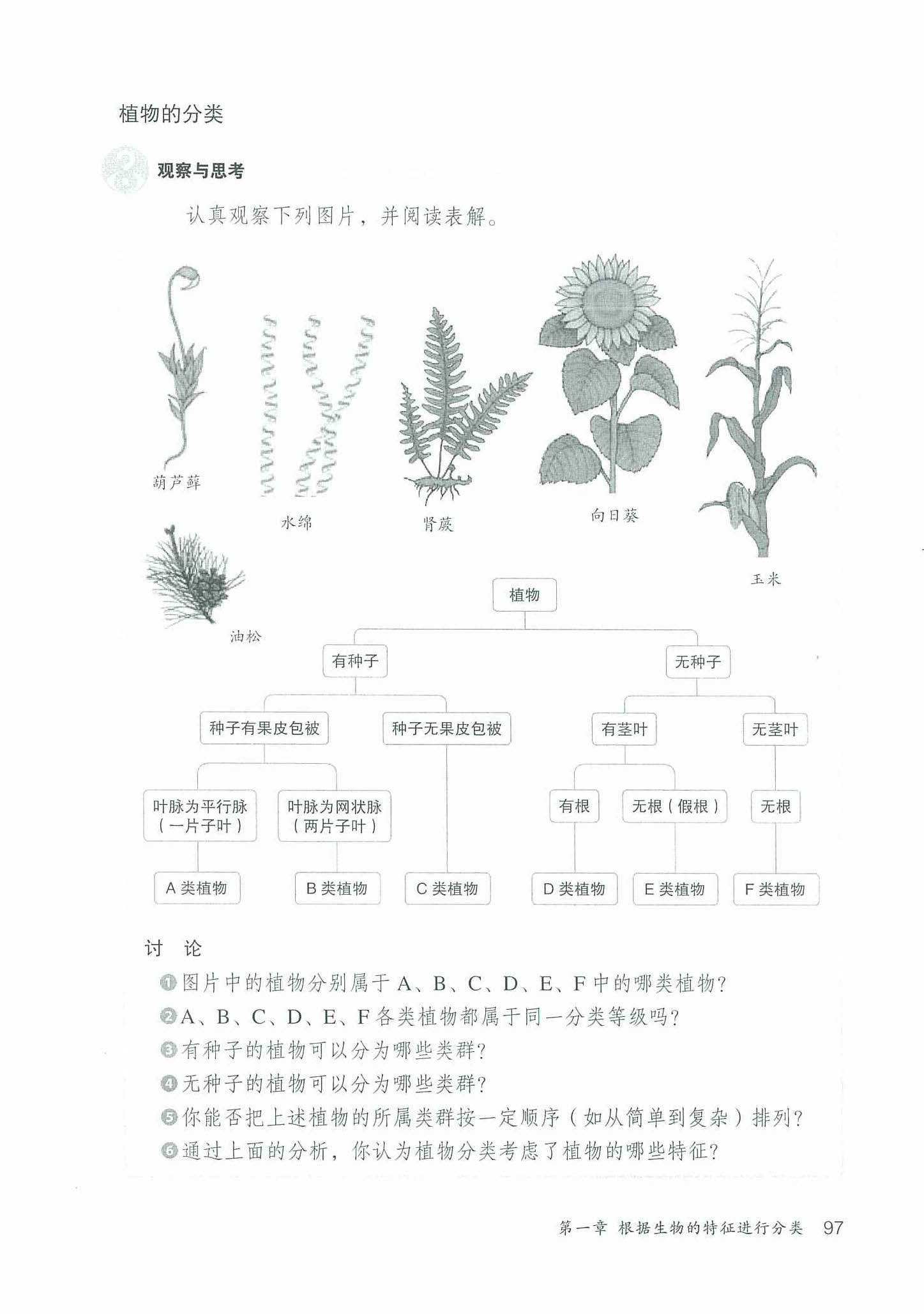 2013部编版八年级生物上册植物的分类第0页