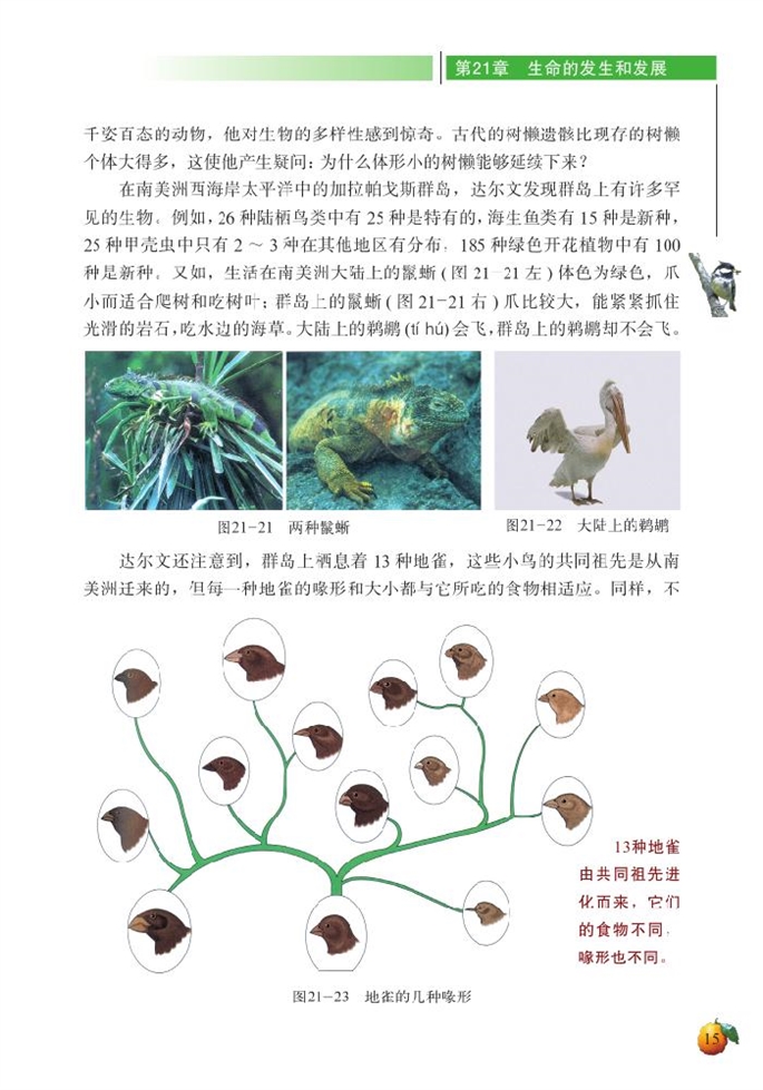 北师大版初中生物初二生物下册生物的进化第10页