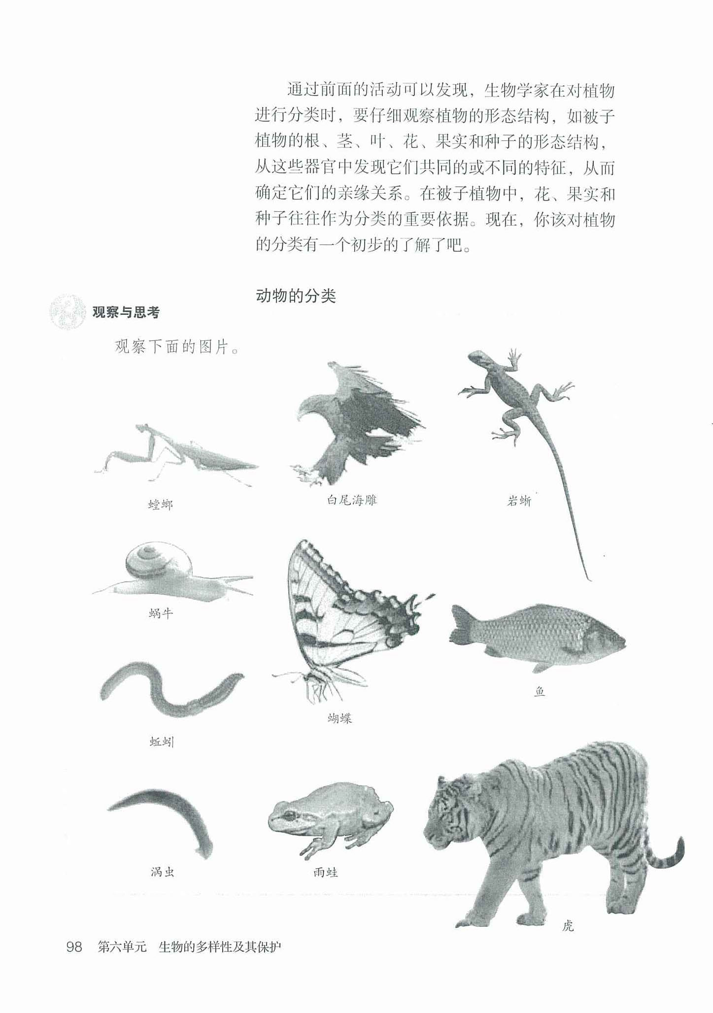 2013部编版八年级生物上册动物的分类第0页