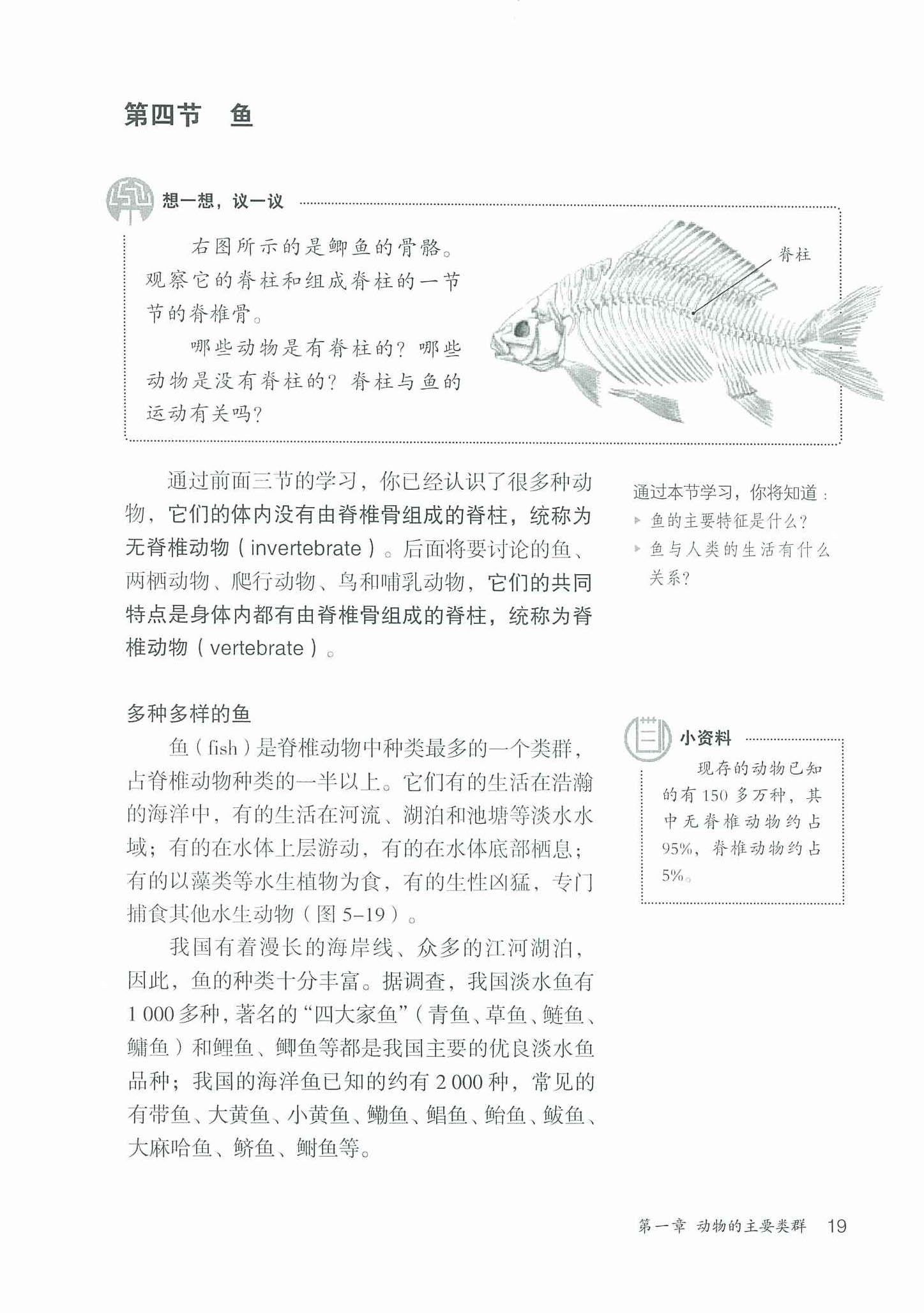 2013部编版八年级生物上册第四节 鱼第0页