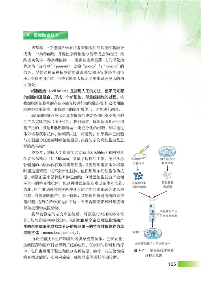 沪科版高中高三生命科学生命科学(拓展)细胞工程第10页