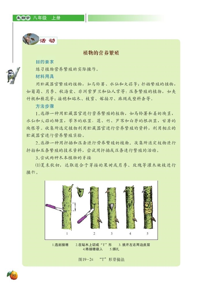 北师大版初中生物初二生物上册植物的生殖方式第4页