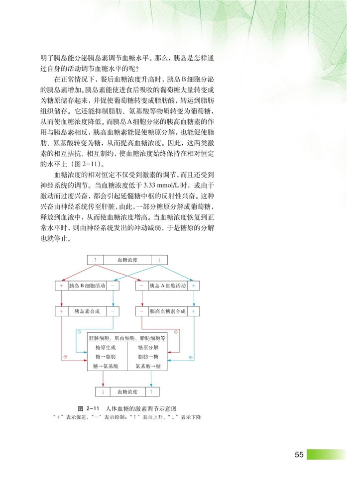 沪科版高中高三生命科学生命科学(拓展)血糖的平衡及其调节第2页