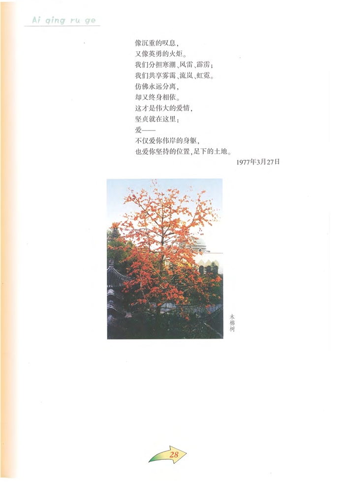 沪教版初中初三语文上册致橡树第1页
