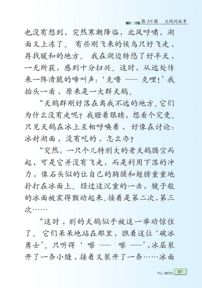 苏教版小学四年级语文下册天鹅的故事第1页