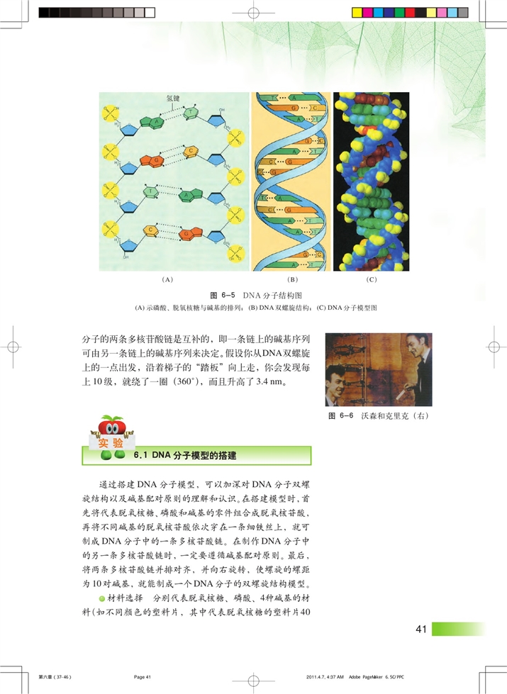沪科版高中高二生命科学生命科学（第二册）遗传信息第3页