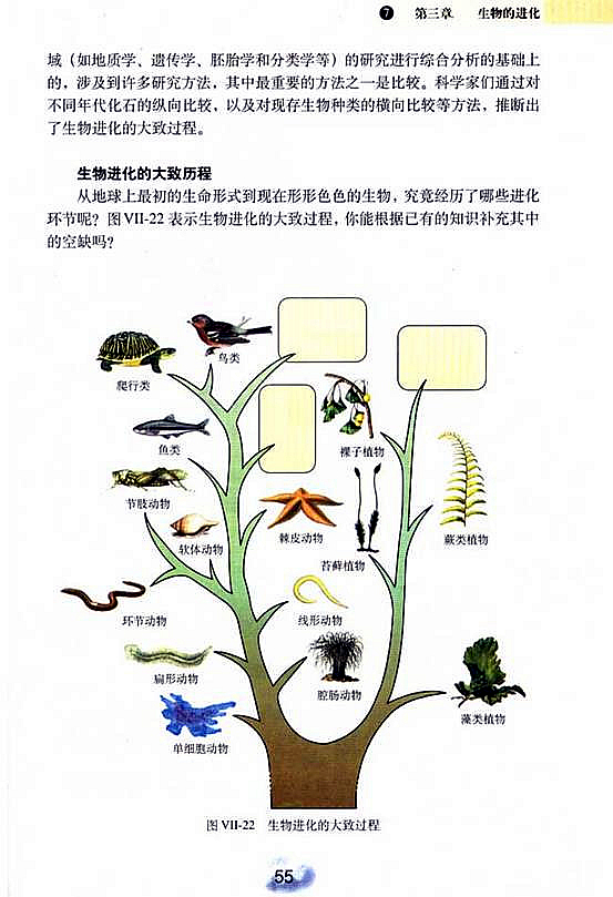 人教版初中初二生物下册生物进化的历程第2页