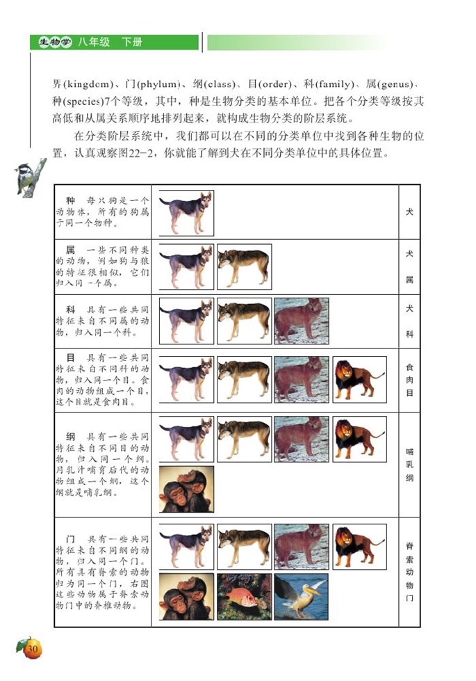 北师大版初中生物初二生物下册生物的分类第3页