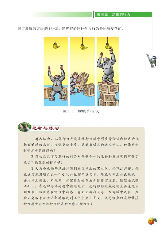 北师大版初中生物初二生物上册动物的行为第5页