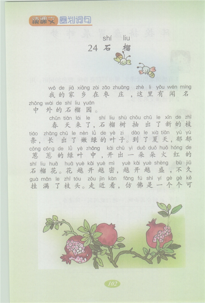 沪教版小学二年级语文上册石榴第0页
