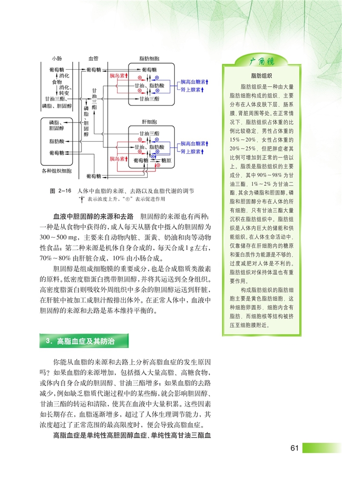 沪科版高中高三生命科学生命科学(拓展)血脂代谢及其调节第2页