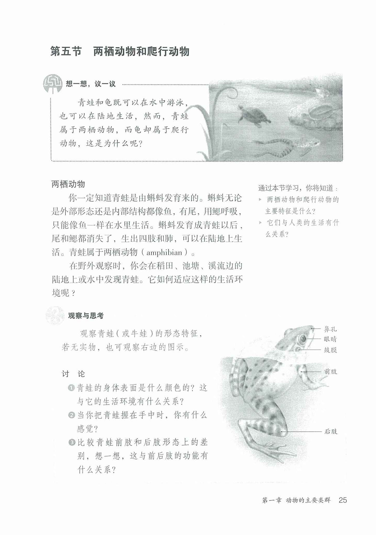 2013部编版八年级生物上册第五节 两栖动物和爬行动物第0页