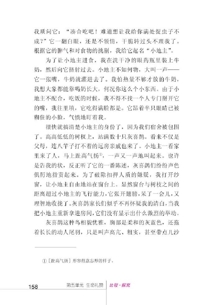 北师大版初中语文初一语文上册比较探究第13页