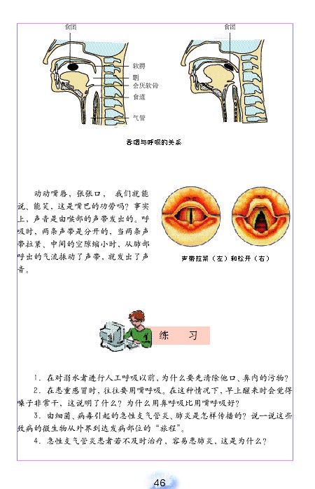 人教版初中初一生物下册呼吸道对空气的处理第4页