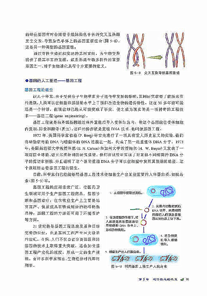 北师大版高中高一生物必修2基因重组第2页