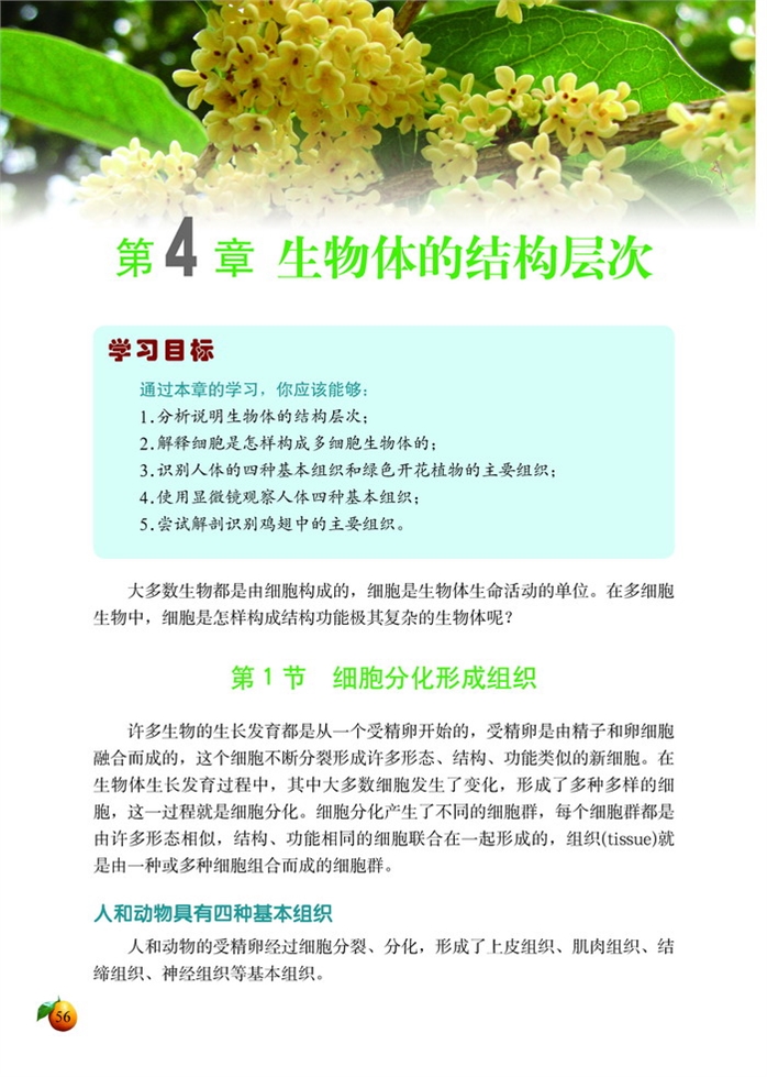 北师大版初中生物初一生物上册生物体的结构层次第0页