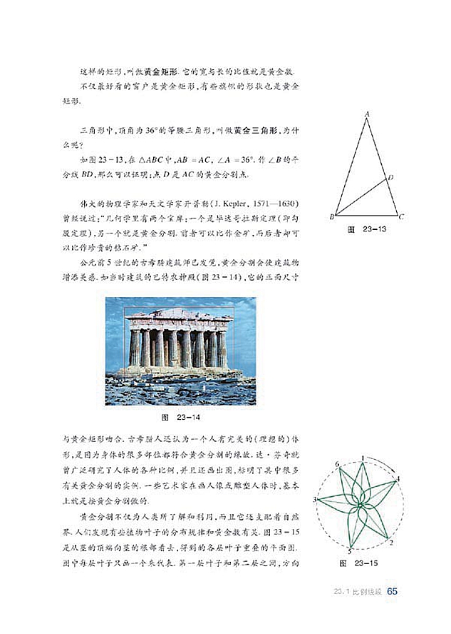 沪科版初中数学初三数学上册比例线段第12页