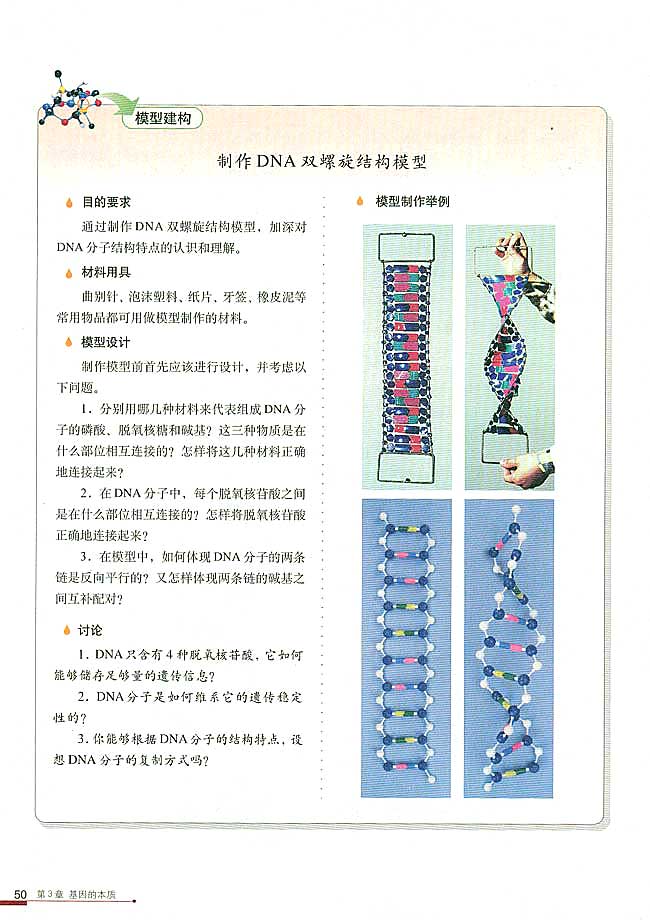 人教版高中高二生物必修2DNA分子的结构第3页