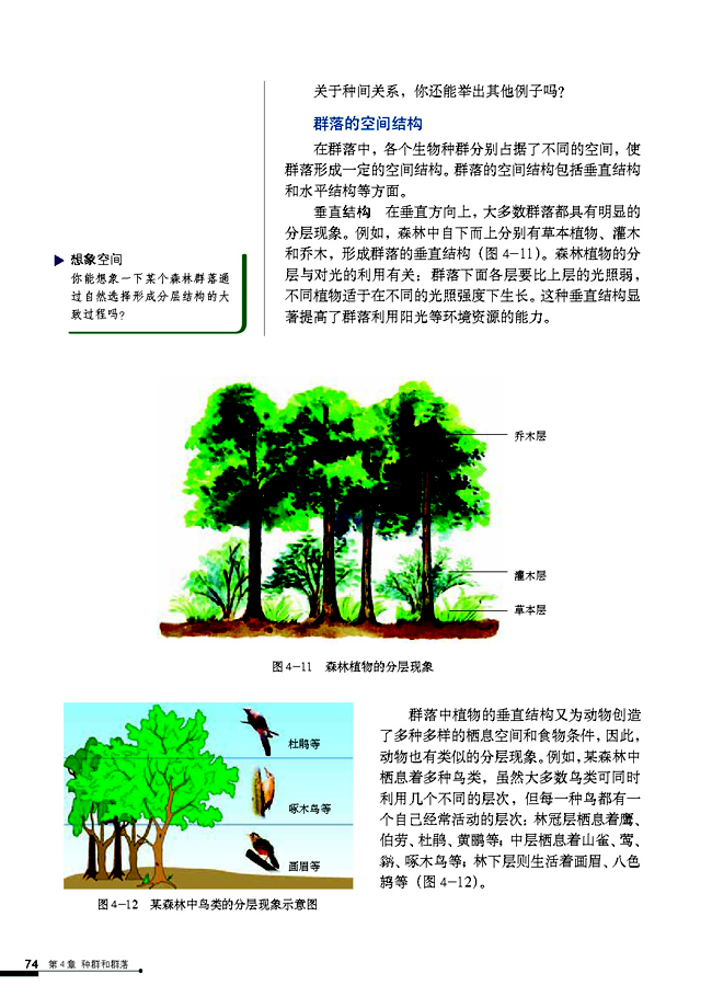 人教版高中高二生物必修3群落的结构第3页