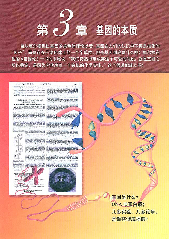 人教版高中高二生物必修2基因的本质第0页