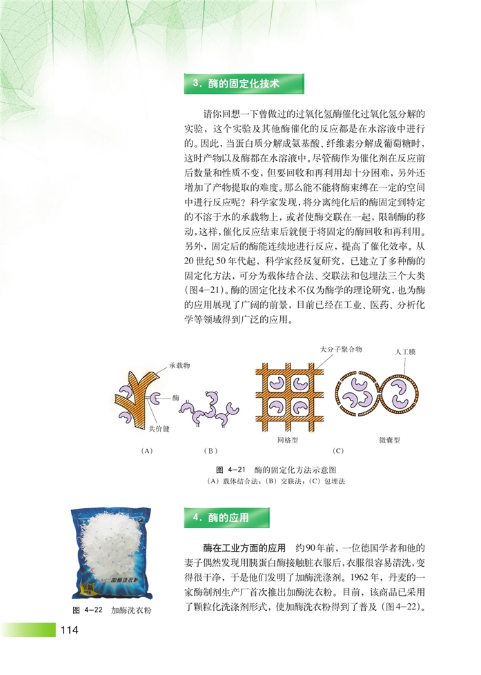 沪科版高中高三生命科学生命科学(拓展)酶工程第2页