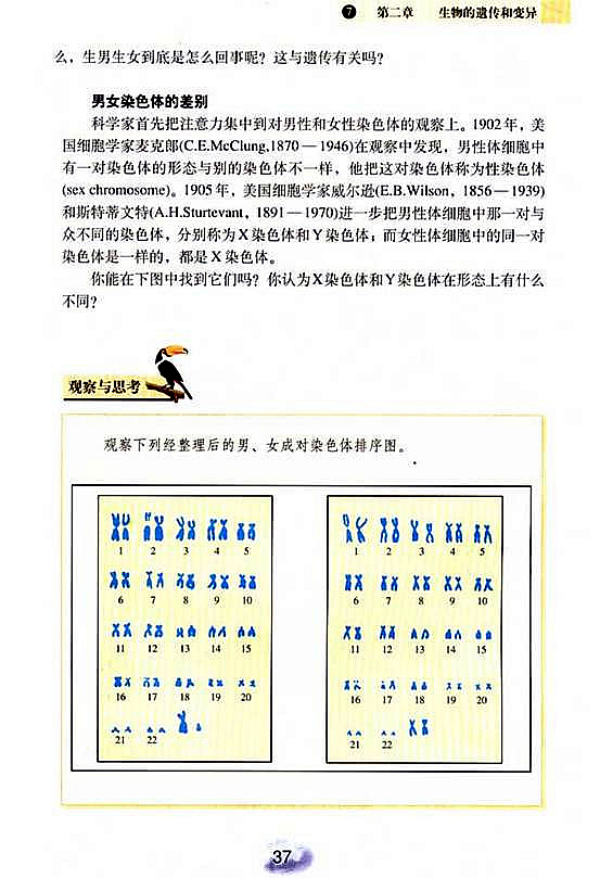 人教版初中初二生物下册人的性别遗传第1页