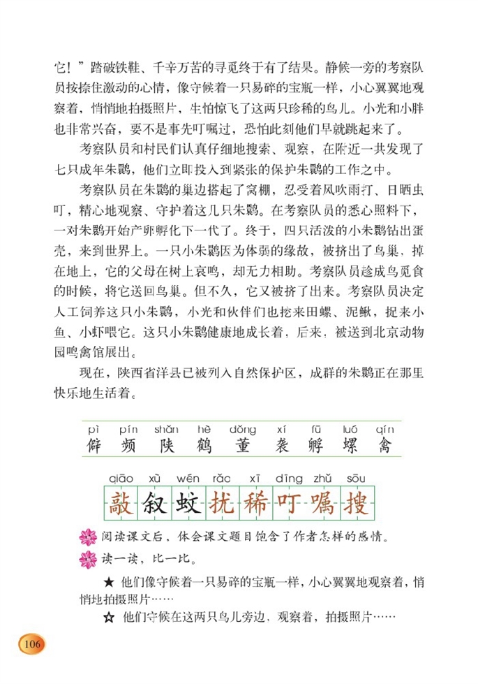 北师大版小学四年级语文下册朱鹮飞回来了 （晏平）第2页