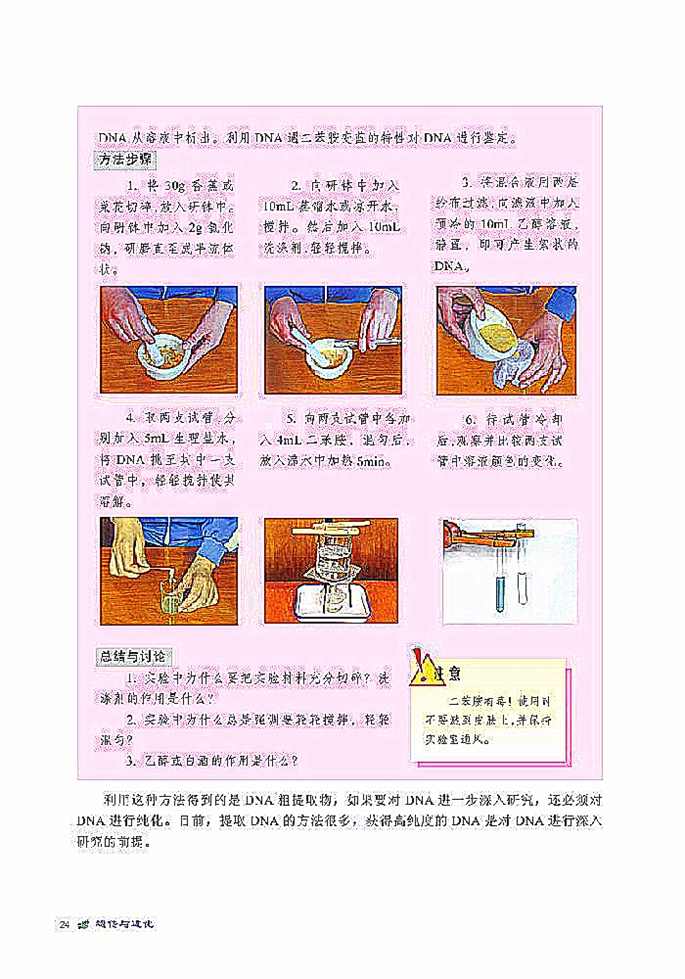 北师大版高中高一生物必修2DNA贮存遗传信息第5页