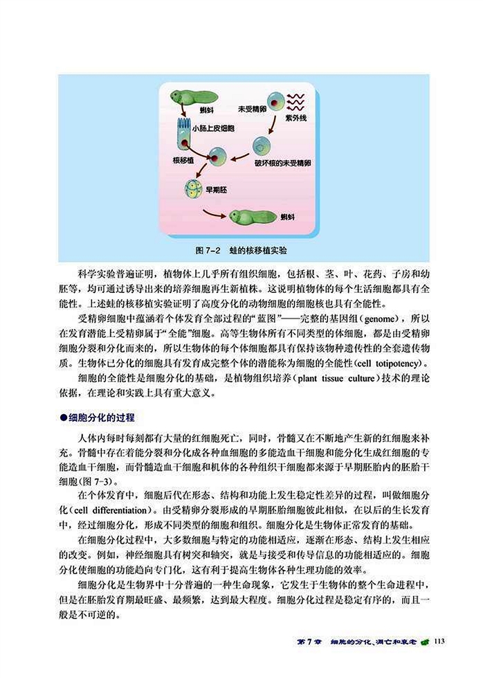 北师大版高中高一生物必修1细胞的分化第1页