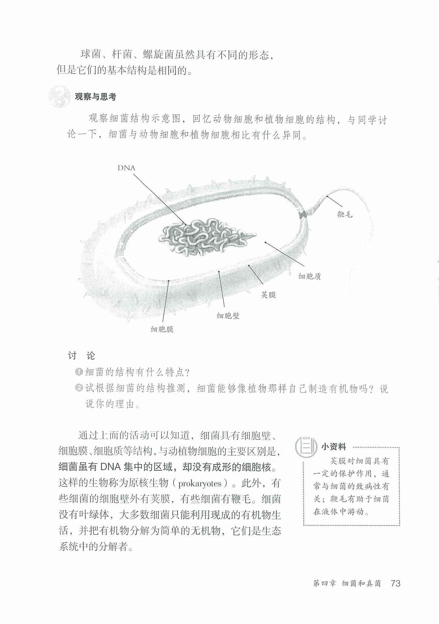 2013部编版八年级生物上册细菌的形态和结构第1页