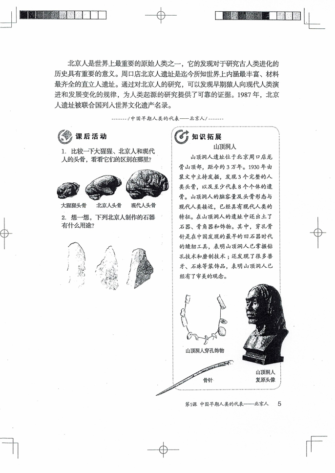 部编版七年级历史上册第1课 中国早期人类的代表——北京人第3页