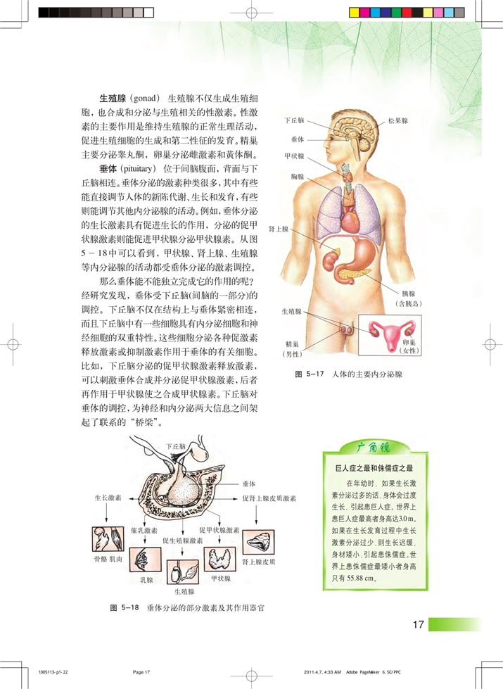 沪科版高中高二生命科学生命科学（第二册）内分泌系统中信息的传递和调节第1页